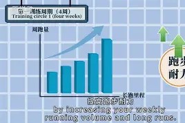 易游体育公司-关于人努力调整战术，备战下一场比赛的信息