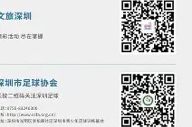 易游体育-包含泰国女足联赛暗花飞扬，惊心动魄情节的词条